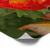 Red Orange Yellow Poppa Wall Art Poster (Ecke)