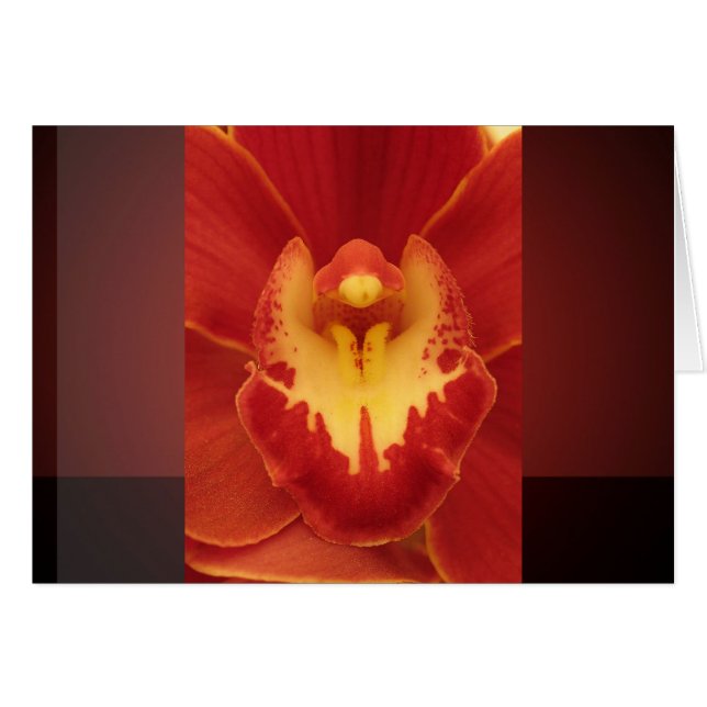 Red Orchid (Vorderseite (Horizontal))