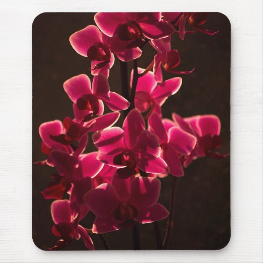 Red Orchid Blume Mousepad (Vorne)