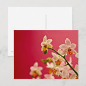 Red Orchid Postcard Postkarte (Vorne/Hinten)