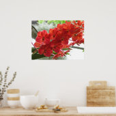 RED ORCHID POSTER (Küche)