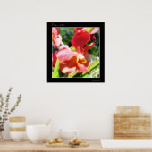 Red Orchid Poster (Küche)