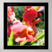 Red Orchid Poster (Vorne)