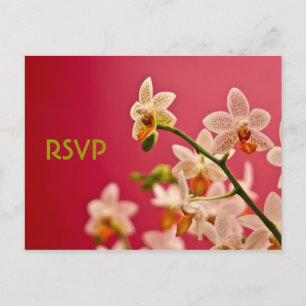 Red Orchid ・ UAWG Postcard - Individuell Einladungspostkarte