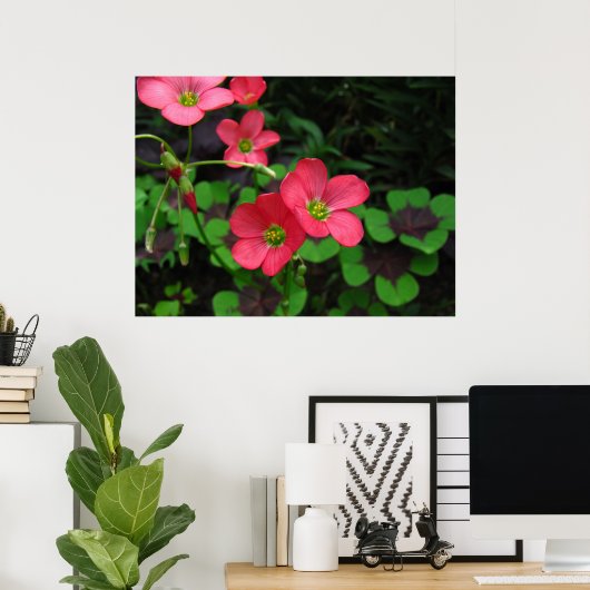 Red Oxalis ~ Print Poster (Heimbüro)