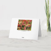 Red Pagoda Succulous card by Debra Lee Baldwin Karte (Rückseite)