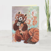 Red Panada Cimetta Karte (Vorderseite)