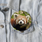 red-panda-004 button (Beispiel)