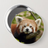 red-panda-004 button (Vorne & Hinten)