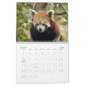 red-panda-005, roter Panda Kalender (Mär 2026)