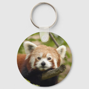red-panda-005 schlüsselanhänger