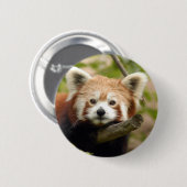 red-panda-007 button (Vorne & Hinten)