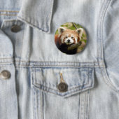 red-panda-007 button (Beispiel)