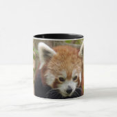 red-panda-023 tasse (Zentrum)