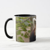 red-panda-023 tasse (Links)