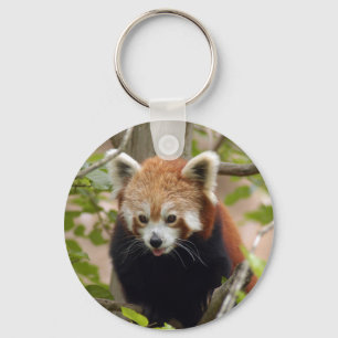 red-panda-024 schlüsselanhänger