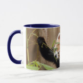 red-panda-026 tasse (Links)