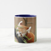 red-panda-026 tasse (Zentrum)