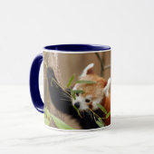 red-panda-026 tasse (Vorderseite Links)