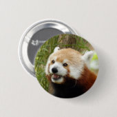 red-panda-033 button (Vorne & Hinten)