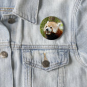 red-panda-033 button (Beispiel)