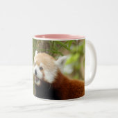 red-panda-033 zweifarbige tasse (VorderseiteRechts)