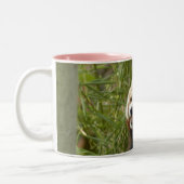 red-panda-033 zweifarbige tasse (Links)