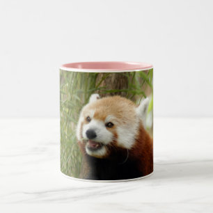 red-panda-033 zweifarbige tasse