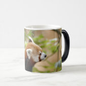 red-panda-035 verwandlungstasse (VorderseiteRechts)