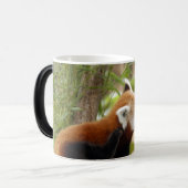 red-panda-035 verwandlungstasse (Vorderseite Links)