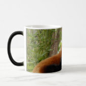 red-panda-035 verwandlungstasse (Links)