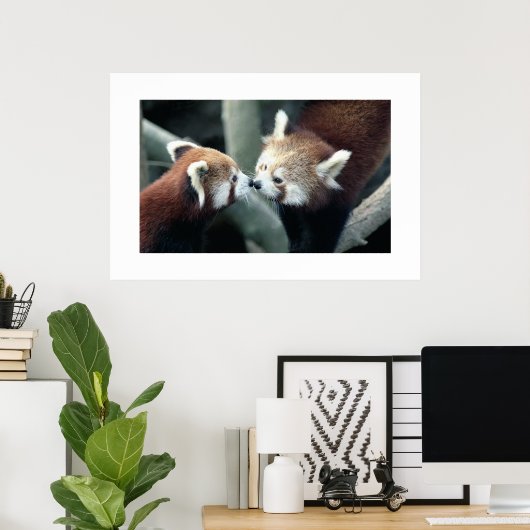 Red Panda #1 Poster (Heimbüro)