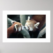 Red Panda #1 Poster (Vorne)