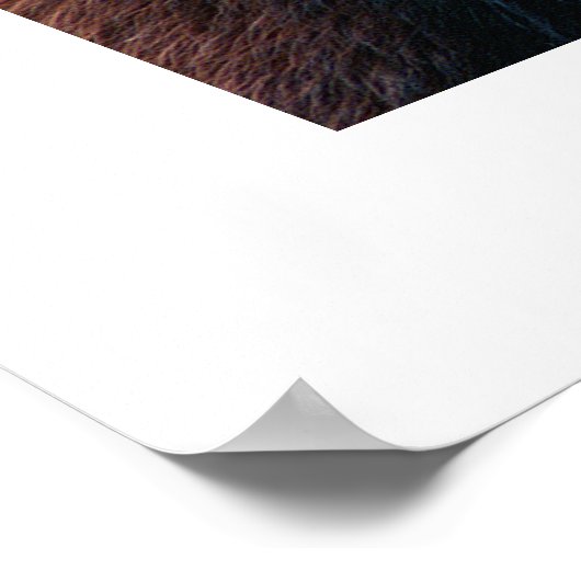 Red Panda #1 Poster (Ecke)