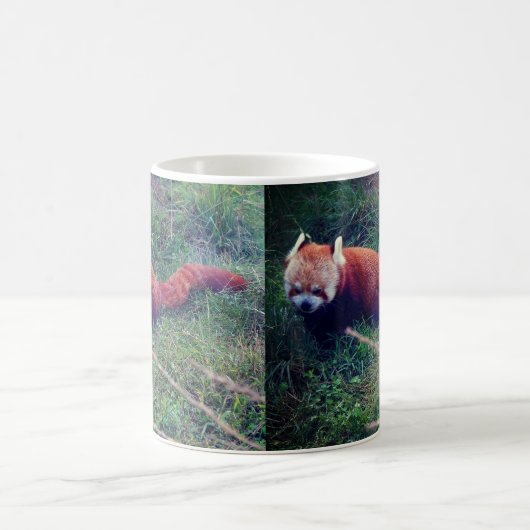 Red Panda #1 Tasse (Mittel)