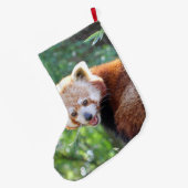 Red_Panda_2015_0306 Großer Weihnachtsstrumpf (Rückseite (Hängend))