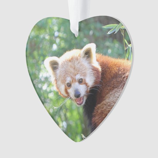 Red_Panda_2015_0306 Ornament (Vorderseite)