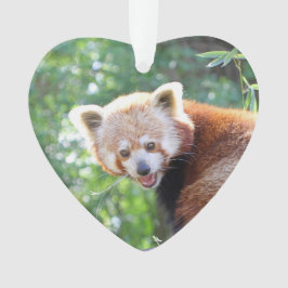 Red_Panda_2015_0306 Ornament
