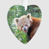 Red_Panda_2015_0306 Ornament (Vorderseite)
