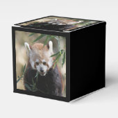 Red_Panda_2015_0311 Geschenkschachtel (Vorderseite)