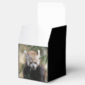 Red_Panda_2015_0311 Geschenkschachtel (Geöffnet)