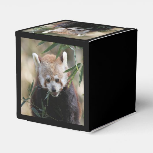 Red_Panda_2015_0311 Geschenkschachtel (Rückseite)