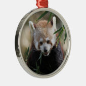Red_Panda_2015_0311 Ornament Aus Metall (Rechts)