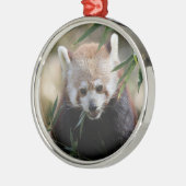Red_Panda_2015_0311 Ornament Aus Metall (Links)