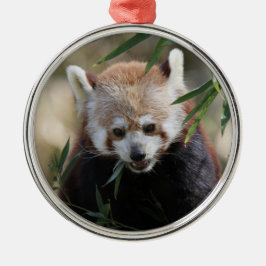 Red_Panda_2015_0311 Ornament Aus Metall