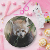 Red_Panda_2015_0311 Pappteller (Party)