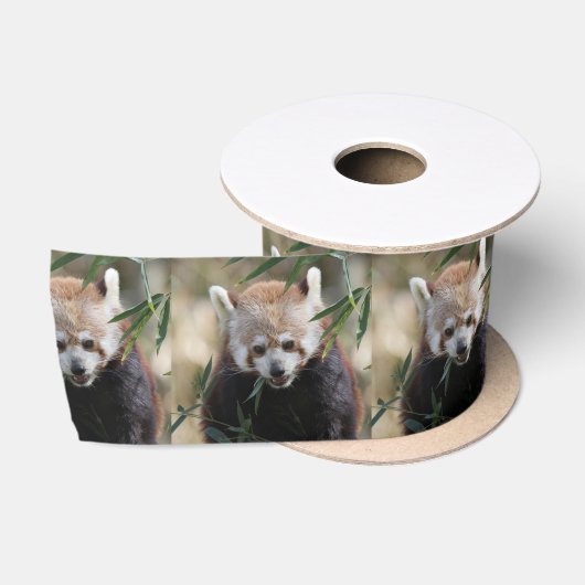 Red_Panda_2015_0311 Satinband (Spule)