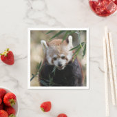 Red_Panda_2015_0311 Serviette (Beispiel)