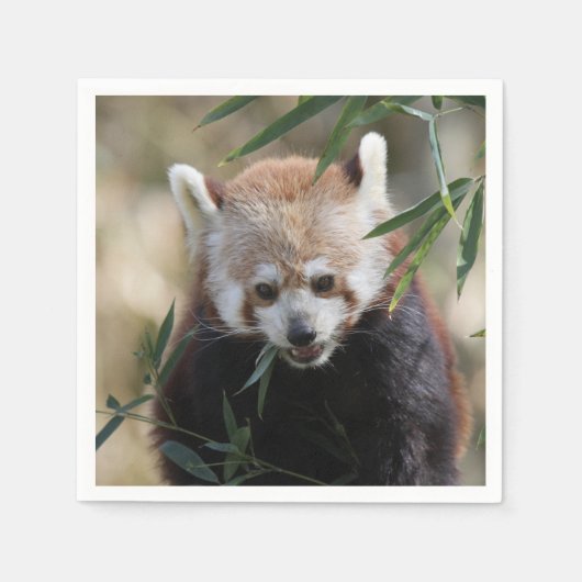 Red_Panda_2015_0311 Serviette (Vorderseite)