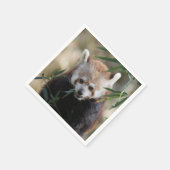Red_Panda_2015_0311 Serviette (Ecke)
